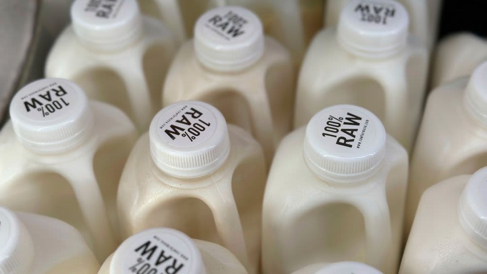 New tests confirm milk from flu-infected cows can make other animals sick — and raise questions about flash pasteurization