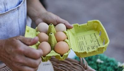 Bio ou pas, au frigo ou pas… Comment bien choisir et conserver ses œufs ?