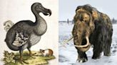 Dodos, mamuts y lobos de Tasmania: Empresa quiere ‘resucitar’ especies extintas