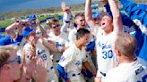 Air Force baseball wins Mountain West regular-season title, blowing out Fresno State to seal it