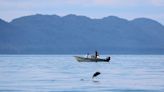 University of Alaska gets $20M to study effects of climate change on fishing and harvesting in the Gulf of Alaska