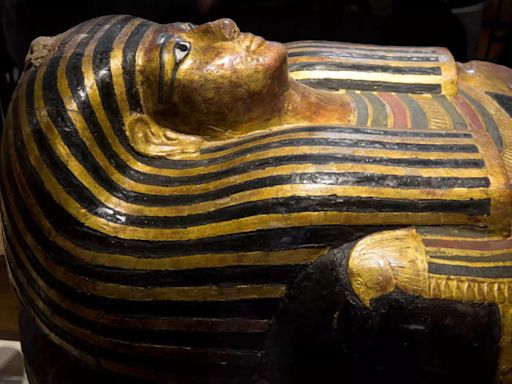 Can ancient germs from dug-up Egyptian mummies trigger a plague or pandemic today? | Business Insider India