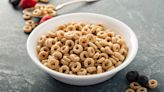 The Discontinued Cheerios Flavor That Tasted Like Fall In A Bowl