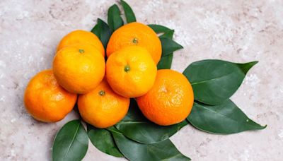 小林製藥引發紅麴風暴 柑橘類黃酮成替代新選擇 - 理財周刊