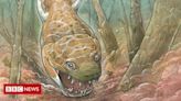 'Salamandra dos infernos': o animal gigante que dominava o planeta antes dos dinossauros