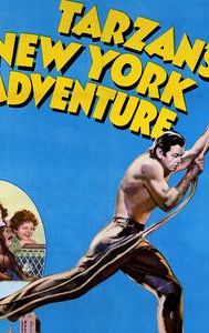 Tarzan's New York Adventure