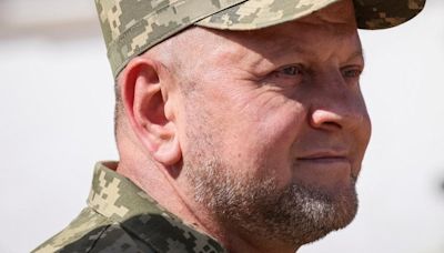 Presidential decree dismisses former Ukrainian Commander-in-Chief from military service