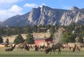 Estes Park, Colorado