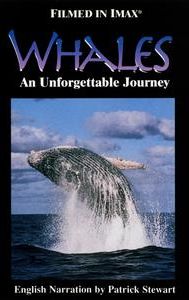 Whales