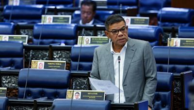 Saifuddin Nasution: Malaysia can’t ratify anti-torture convention due to country’s caning laws