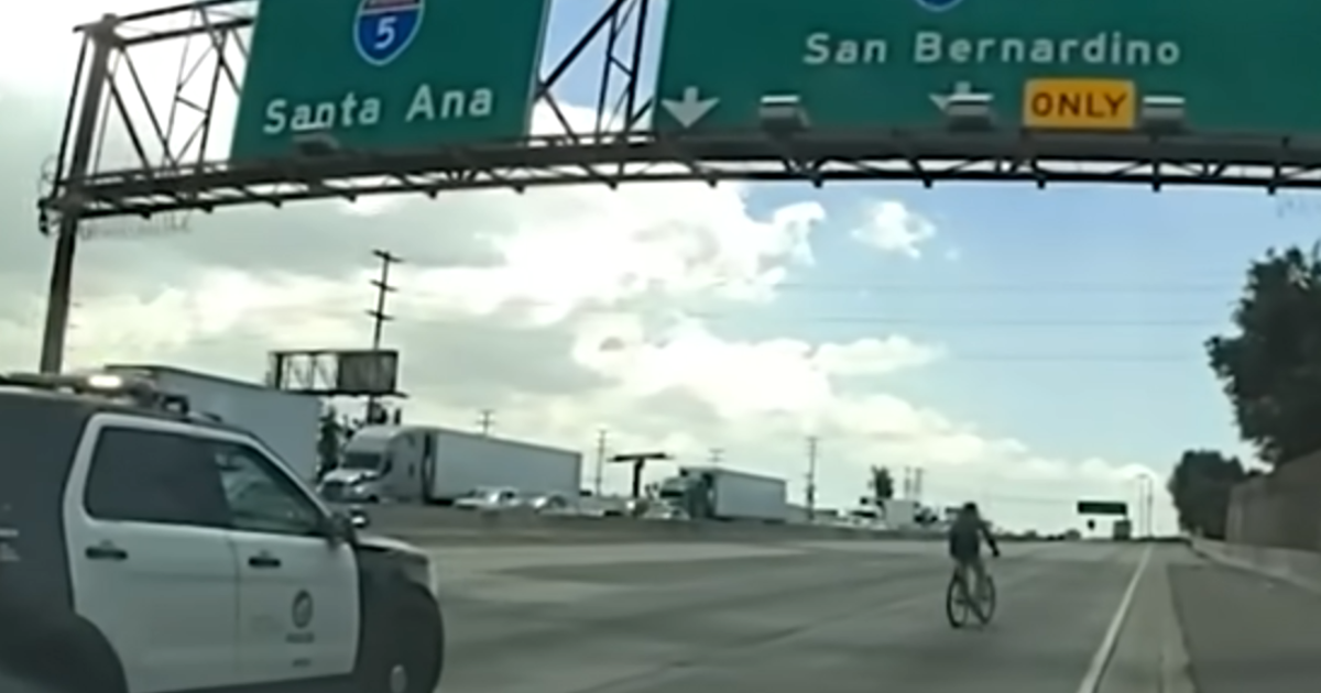 LAPD chase attempted murder suspect riding bicycle on freeway