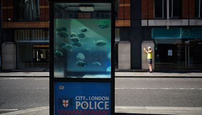 Banksy confirms he is behind new fish artwork on London police box