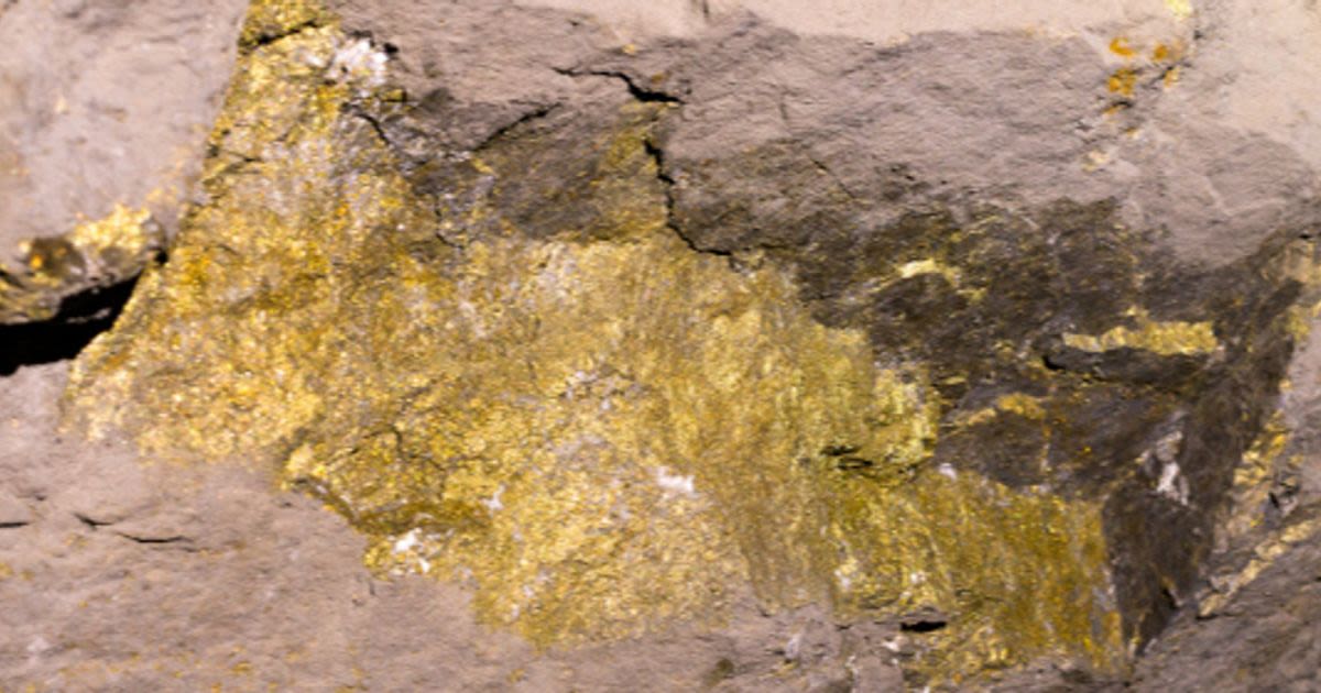 NV Gold unveils promising gold, silver, and copper values at Root Spring