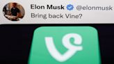 Elon Musk podría revivir Vine, la app de videos cortos