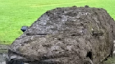 Driver gets car stuck in field and completely caked in mud after popping out for milk