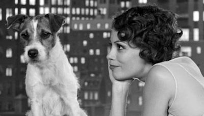 The Most Famous Canines of All Time