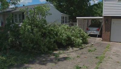 Saved by the bell: Oakdale woman receives weather alert just before tornado sends tree toppling over