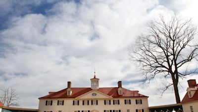 Impresionante hallazgo en una mansión de George Washington: botellas de hace 250 años con cerezas - El Diario NY