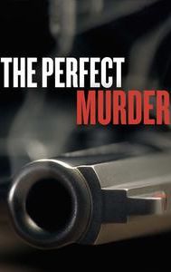 The Perfect Murder