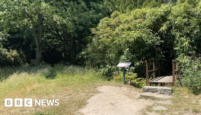 Police investigate after Saumarez Park trees damaged