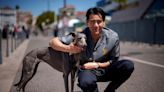 Palm Dog: Kodi, star of 'Dog on Trial,' is the top dog of Cannes