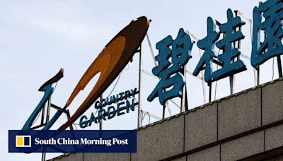 China’s Country Garden looking to sell stake in chip maker CXMT