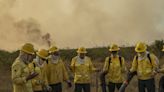 Fogo destrói ponte em estrada no pantanal e dificulta resposta a incêndio