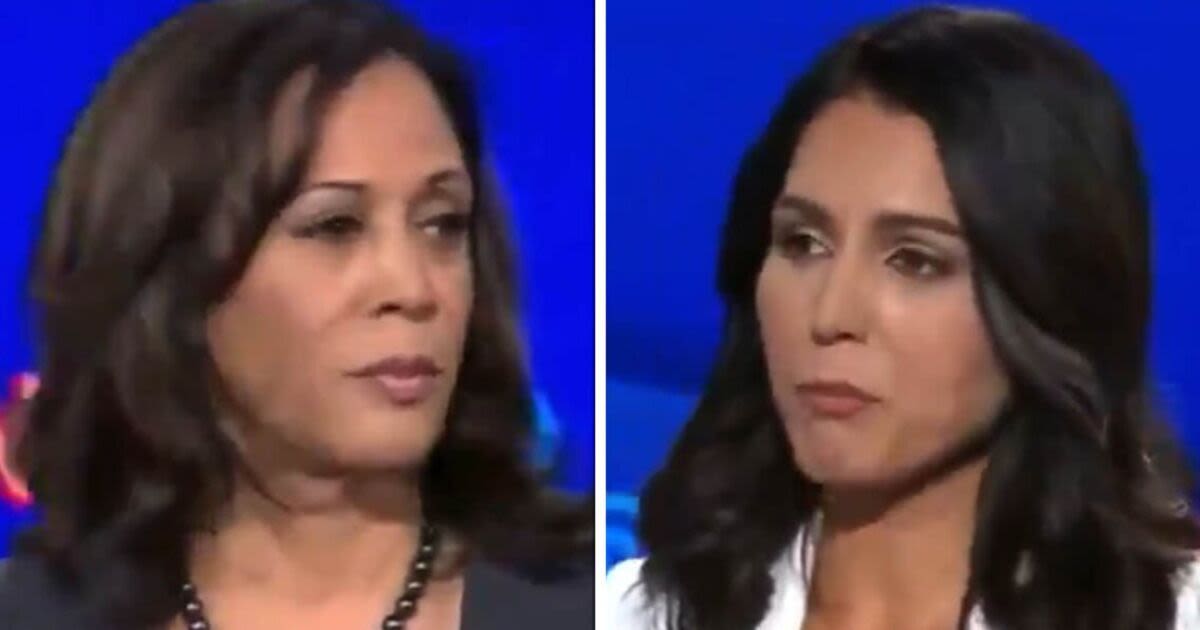 Kamala Harris 'eviscerated' by ex rival in unearthed viral clip