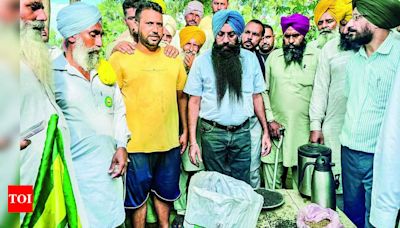 Fake Dap Seized At Moga Village, 4 Held | Chandigarh News - Times of India