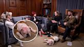 The Osbournes Adopt Rescue Dog That Was Brutally Set on Fire