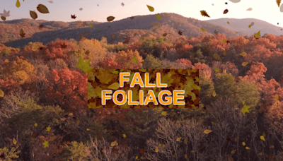 Early frost this week affects fall foliage, plus a preview of this fall's outlook