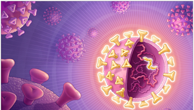 Which Variant Will Updated COVID-19 Vaccines Target This Fall?