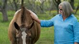 How one woman started a sanctuary that cares for 700 animals | Truly Texan