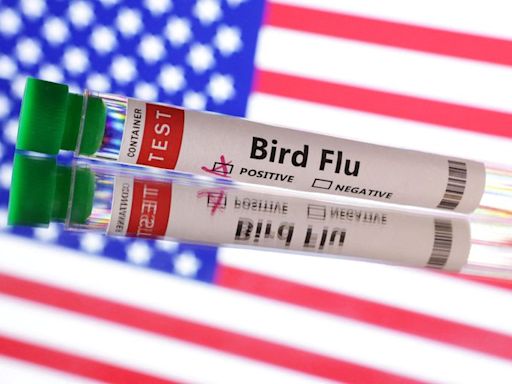 Colorado reports human case of bird flu