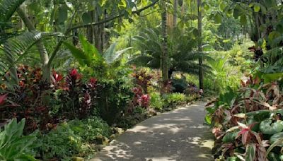 This Florida garden was voted the top ‘hidden picnic gem’ in the U.S.