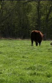 Dimanche à la ferme, 2ème partie