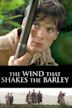 The Wind That Shakes the Barley