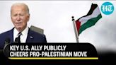 Biden's Top Ally In Middle East Openly Praises Step To Recognise Palestine; Israel Fumes | Saudi