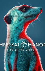 Meerkat Manor: Rise of the Dynasty