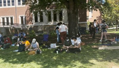 University of Tennessee students continue demonstrations on campus in support of Palestine