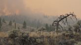 Thousands remain on evacuation alert in B.C. Interior due to wildfires | CBC News