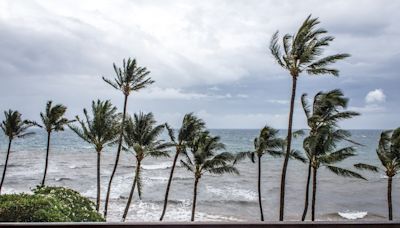 Florida braces for storm Debby: Tropical storm warnings & flood watch issued