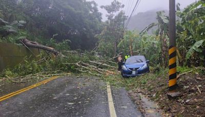 颱風凱米吹倒路樹 台中谷關某飯店員工車輛受困