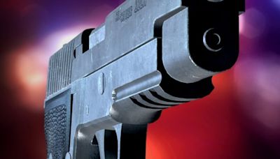 Man shot, critically injured in domestic disturbance, Rock Island police say