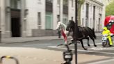 Varios caballos del Ejército siembran el caos en Londres y hieren a cuatro personas