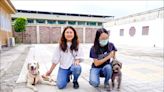 動物治療穩囚情 屏監推關懷犬訓練