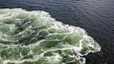 Schwimmer in Ostsee vermisst - Großeinsatz vor Küste von Mecklenburg-Vorpommern