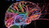 How Brain Networks Sustain Attention - Neuroscience News