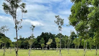 石門水庫北苑園區植樹自然碳匯 申請註冊並獲環境部審查通過 | 蕃新聞