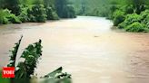 4 stranded on rock in Kerala river rescued by fire force | Kochi News - Times of India